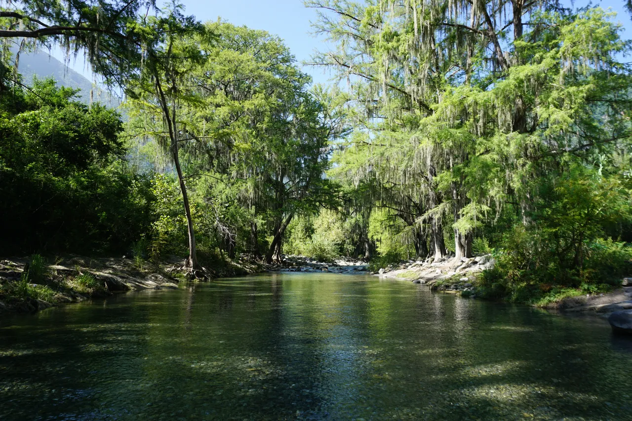 Ramos River