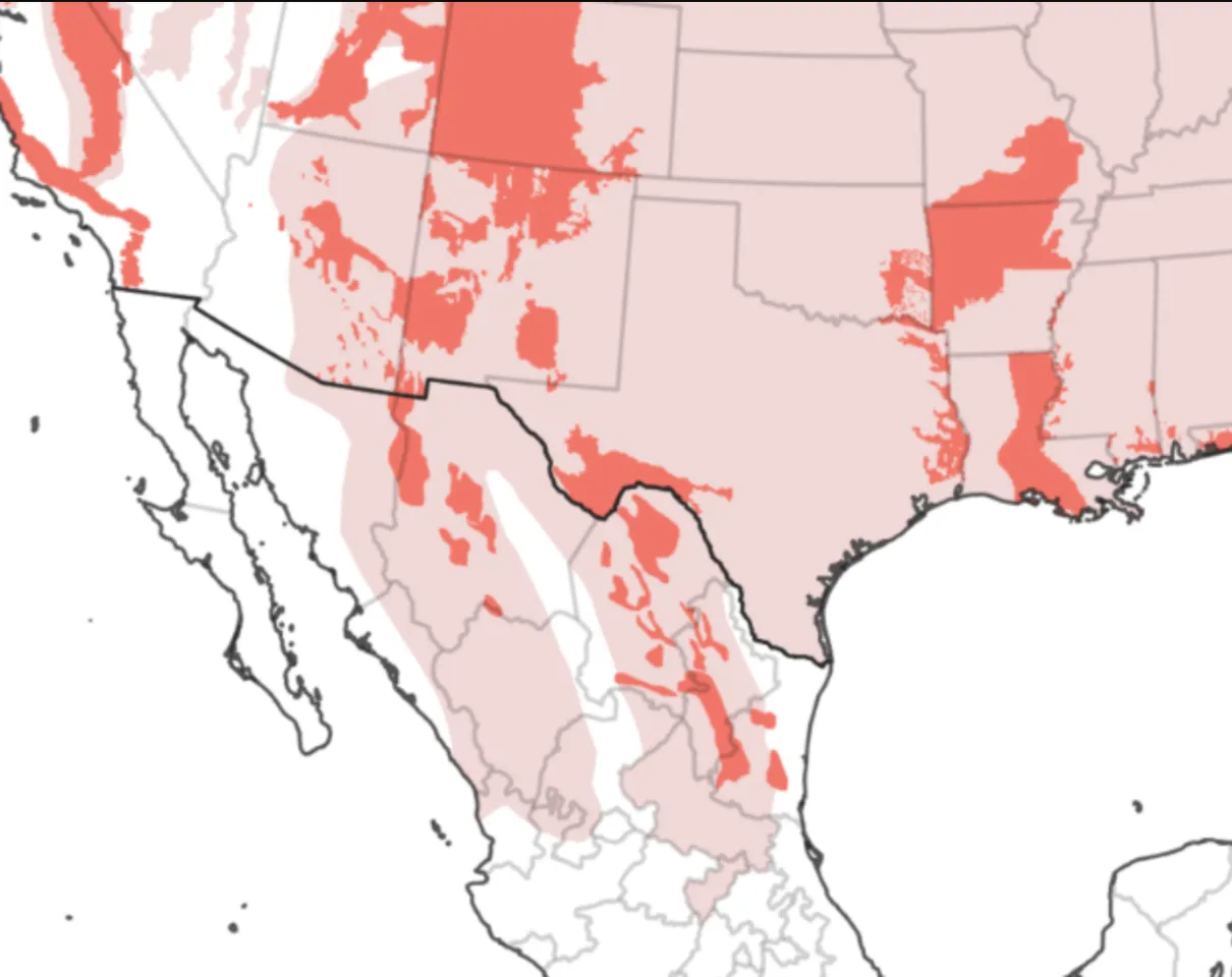 Where do bears live in Nuevo León?