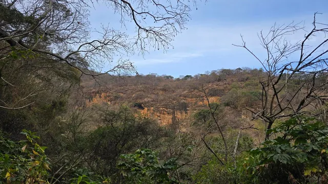 El Triángulo - Sierra de San Juan Cosalá