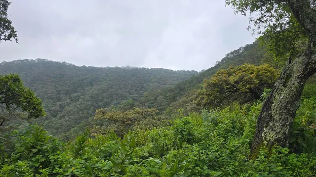 Chupinaya - Las Trojes - Sierra de San Juan Cosalá