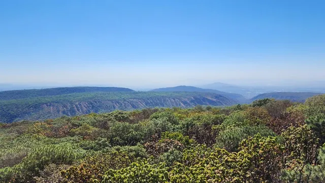 Torre 2 - Venta del Astillero - Bosque la Primavera