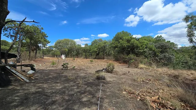 Torre 2 - Boca de la Arena - Bosque la Primavera