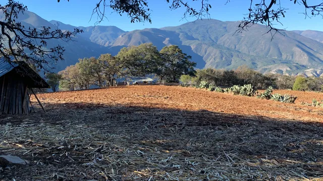 El Viejo
