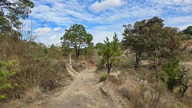 Circuito Cañón del Carbón - Bosque la Primavera