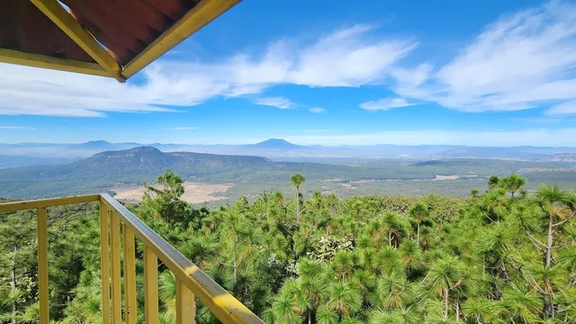 Torre 1 - Ruta Espinazo - Bosque la Pimavera