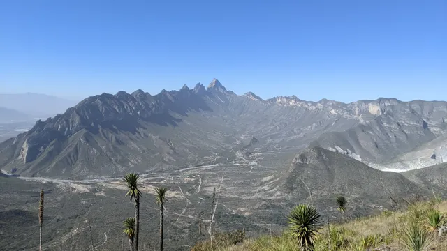 Mesa de Pinos