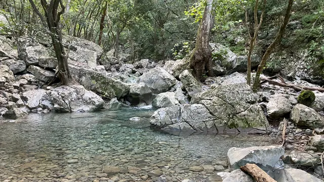 El Cielito