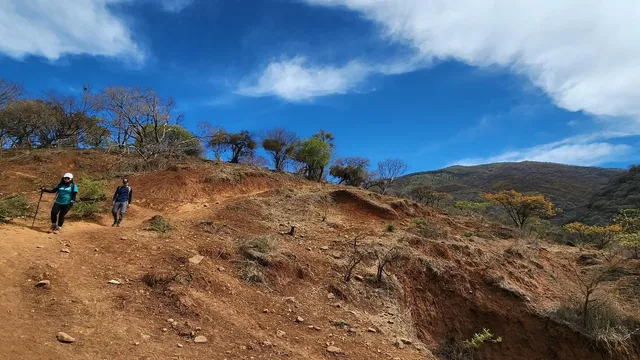 Ruta Jaguarundi - Cerro Viejo - Jalisco