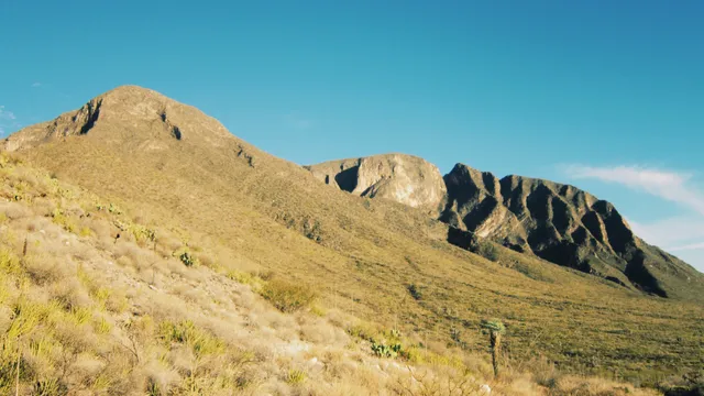 Centinela