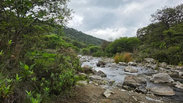 Río Esmeralda - Bosque la Primavera