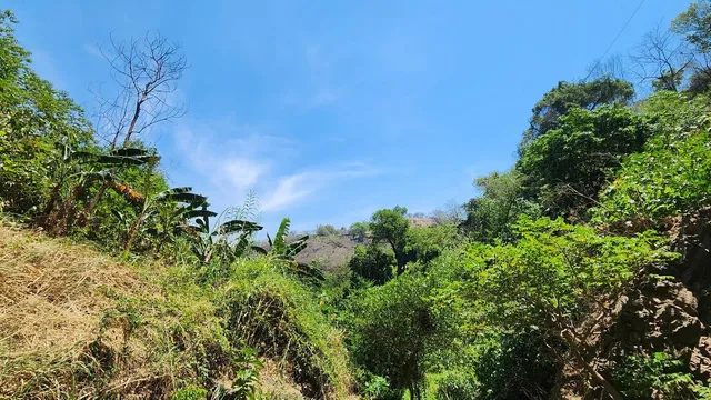 Los Azules - Tequila, JAL