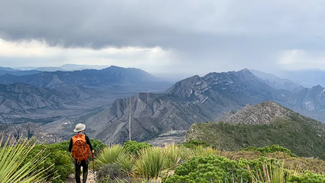 La Calle
