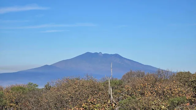 Sendero Barrilitos - Bosque la Primavera