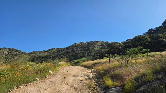 Sendero Mesa de Los Lobos - Los Patios - Zapopan, JAL