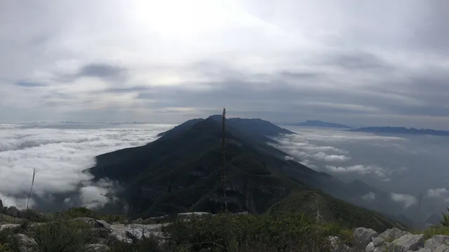 Cabeza de León