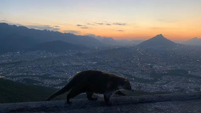 Teleférico
