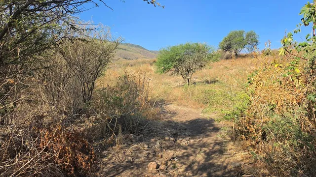 Sendero La Angostura - Sierra de San Juan Cosalá