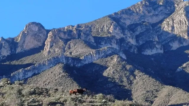 La Blanca
