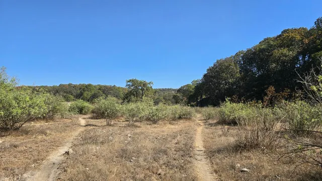 Torre 3 - Bosque la Primavera