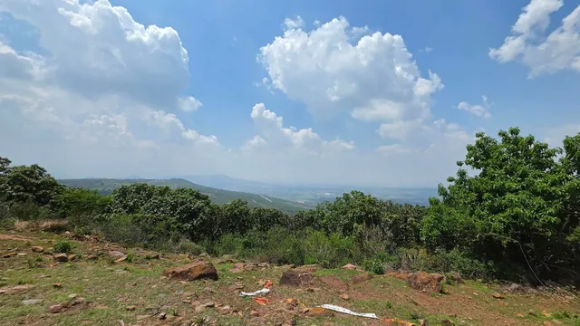 Sendero los Sauces - Cerro Viejo - Jalisco