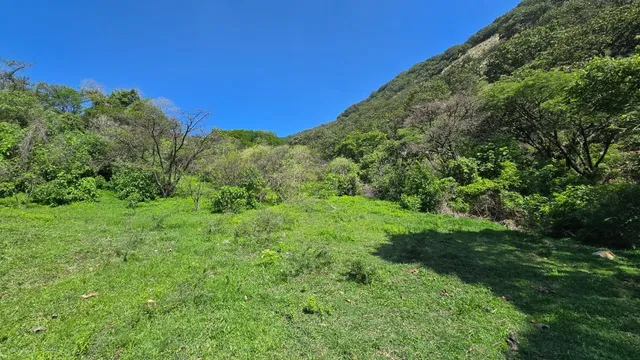 Cerro de la Col - Sierra de Tesistán - Jalisco