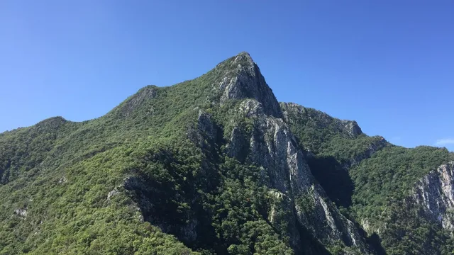 Naríz de Indio