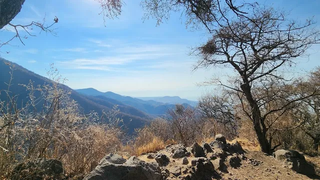 Chupinaya - El Tépalo - Sierra de San Juan Cosalá