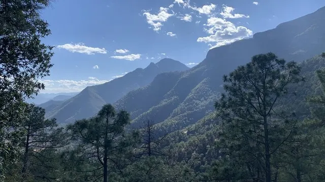 Las Anacuas
