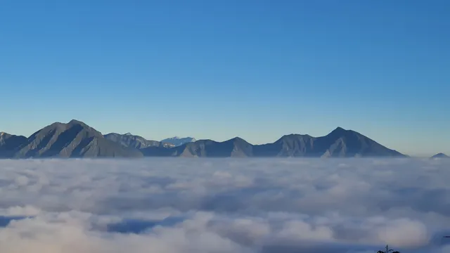 Pico Piquín