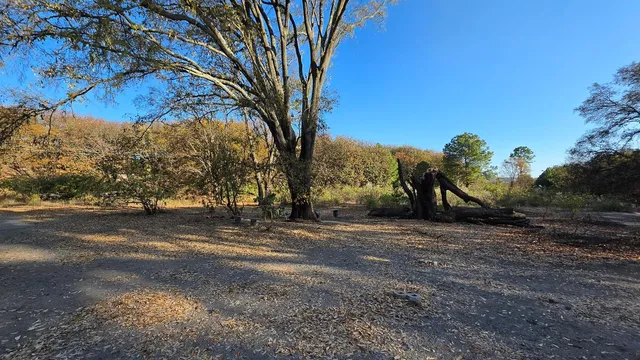 Torre 1 - Vaca Muerta - Bosque la Primavera