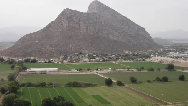 Cerro de la Ballena